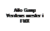 Text Box: Ailo Gaup
Verdens mester i FMX
